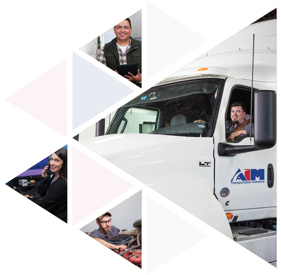A group of triangles of different sizes. There are some red triangles and some blue triangles. Some of the triangles have photos of different Aim employees inside them.